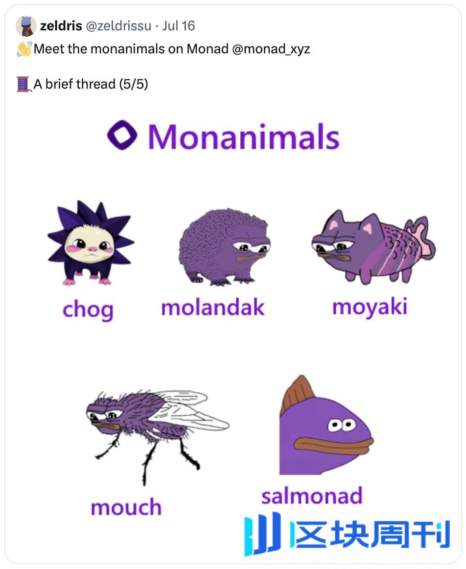 7 个关键点，带你回顾 Monad 如何打造成功的加密社区