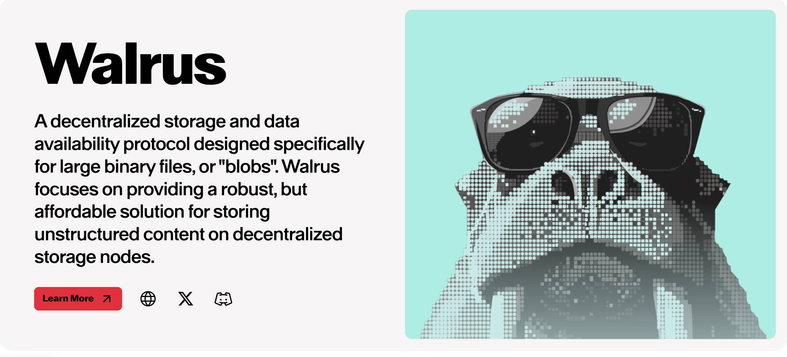 解读 Walrus，Sui 的去中心化存储新解