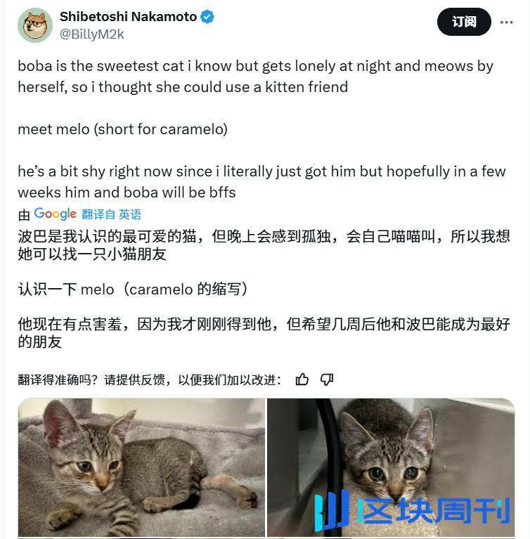 Meme热潮持续：魔性狗子 + 可爱小猫，半天之内再现千倍涨幅？