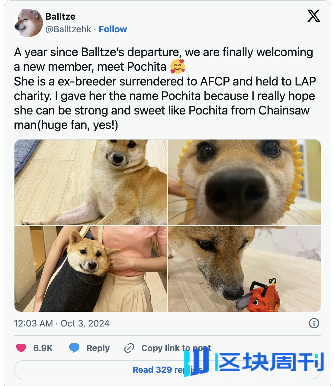 幸运的Meme Coin 交易员在24 小时内将140 美元变成了45 万美元-区块周刊BlockWeeks