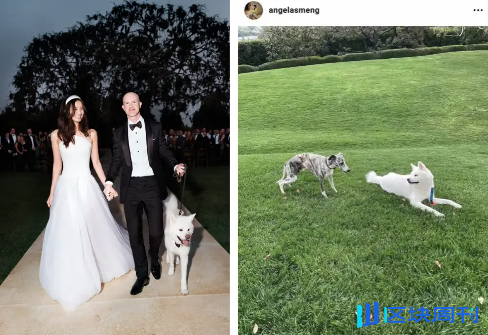 11岁移美，Coinbase华裔老板娘Angela Meng是谁？ -区块周刊BlockWeeks