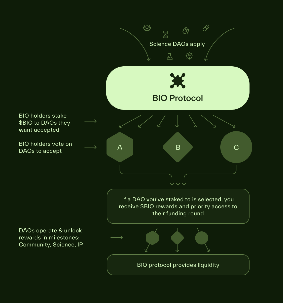 解读 BIO Protocol：Binance Labs 首涉 DeSci 投资，构建有意义的科研资助孵化器