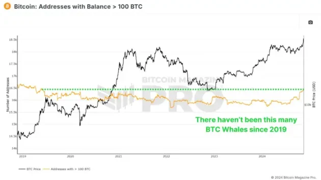 比特币 9 万，散户 FOMO 了吗？