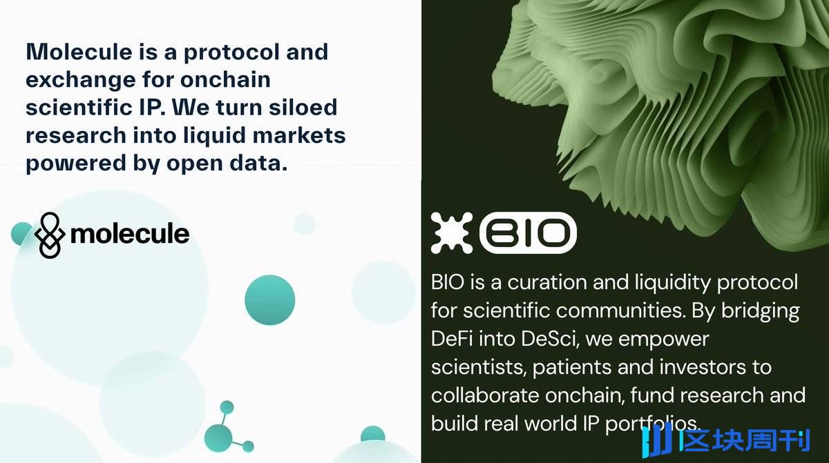 Bio Protocol 联创曼谷演讲：BioDAOs 将加速生物技术发展，帮助建立全球科学网络