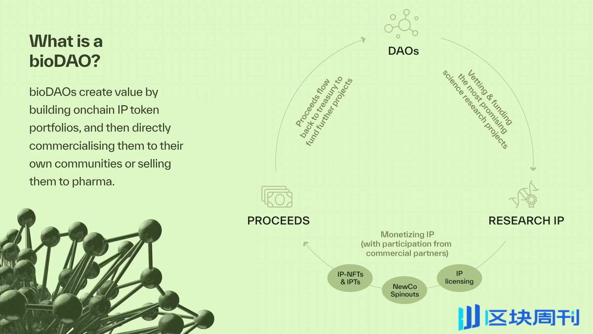 Bio Protocol 联创曼谷演讲：BioDAOs 将加速生物技术发展，帮助建立全球科学网络