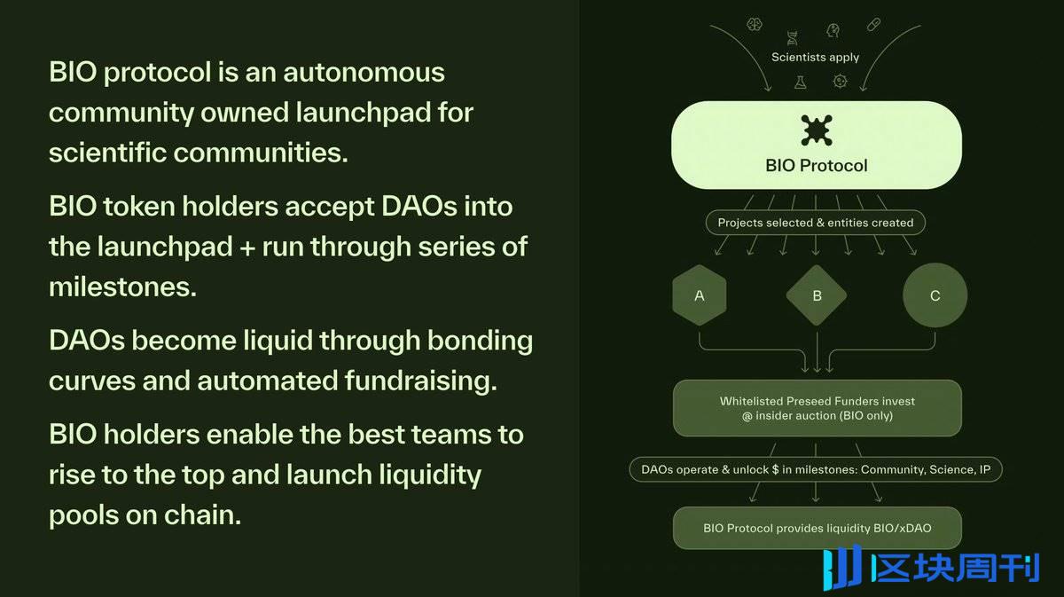 Bio Protocol 联创曼谷演讲：BioDAOs 将加速生物技术发展，帮助建立全球科学网络