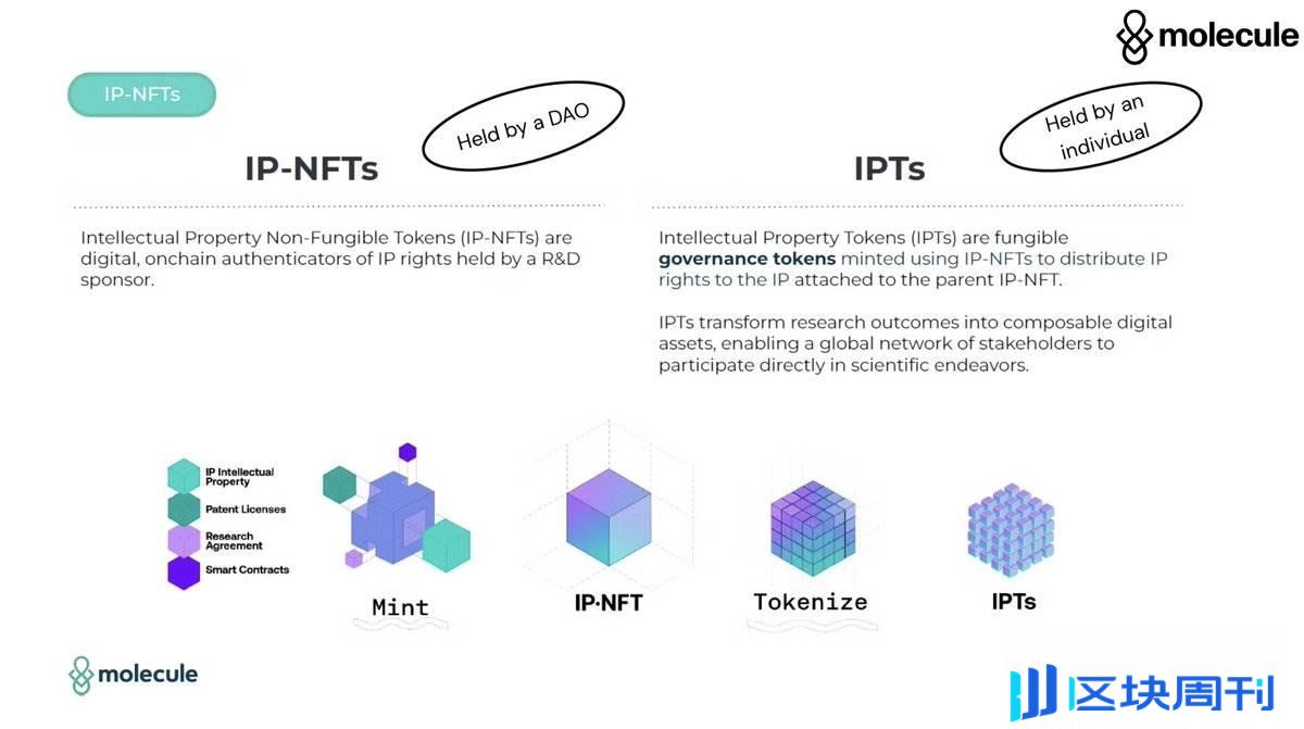 Bio Protocol 联创曼谷演讲：BioDAOs 将加速生物技术发展，帮助建立全球科学网络