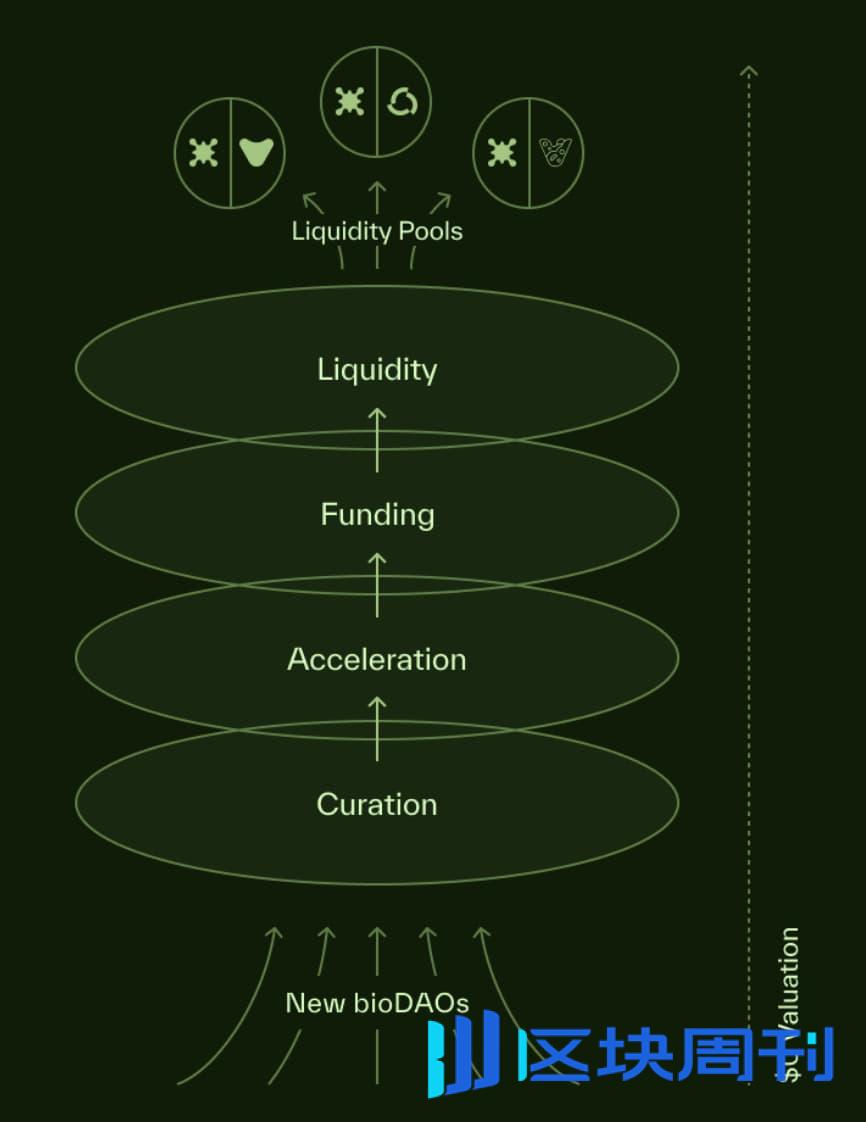 DeSci 淘金｜RIF、URO 飙升背后，Molecule 三大引擎崛起？