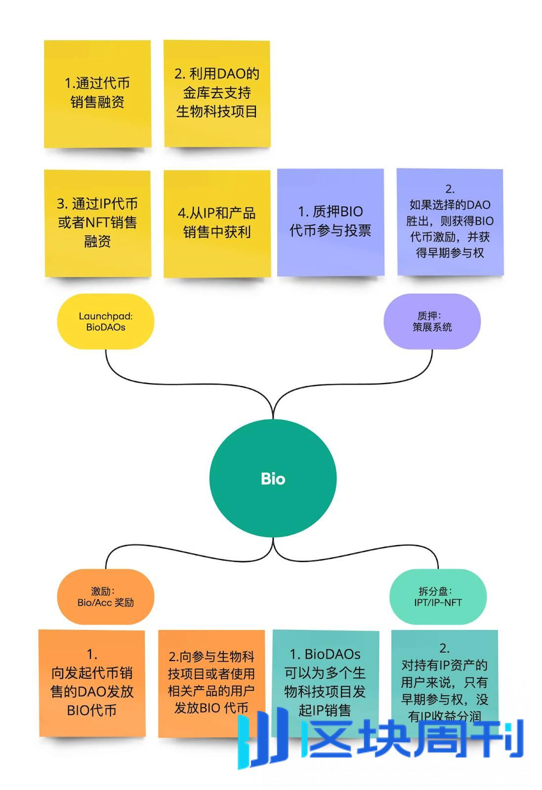 DeSci 的十字路口：回归价值，还是追逐 Meme？