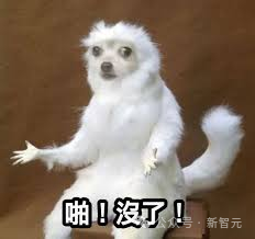 AI引爆全球失业潮，美国大学生毕业即失业！全球大厂联手裁员上万