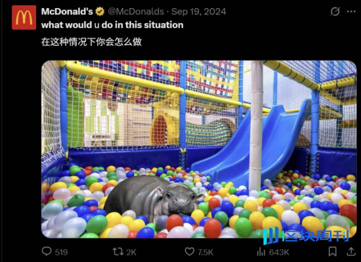 Meme 币的前世今生