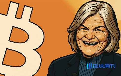 Cynthia Lummis：美國將於 5 年內買進 100 萬顆 BTC，購買資金從 Fed 與財政部預算撥出