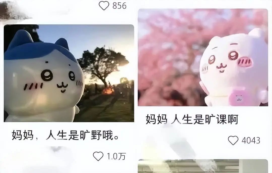 消费的真相：谁在为茅台，BAYC，Labubu 买单？