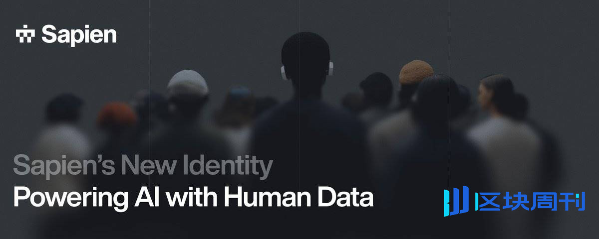 高质量数据集散中心：Sapien 如何构建真正落地的 Web3 AI 解决方案？