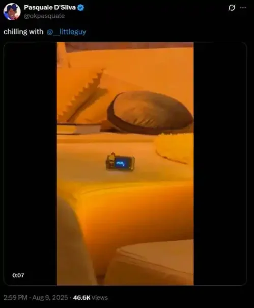 7 天 600 倍，AI 季 2.0 会因为这只狗开始吗？