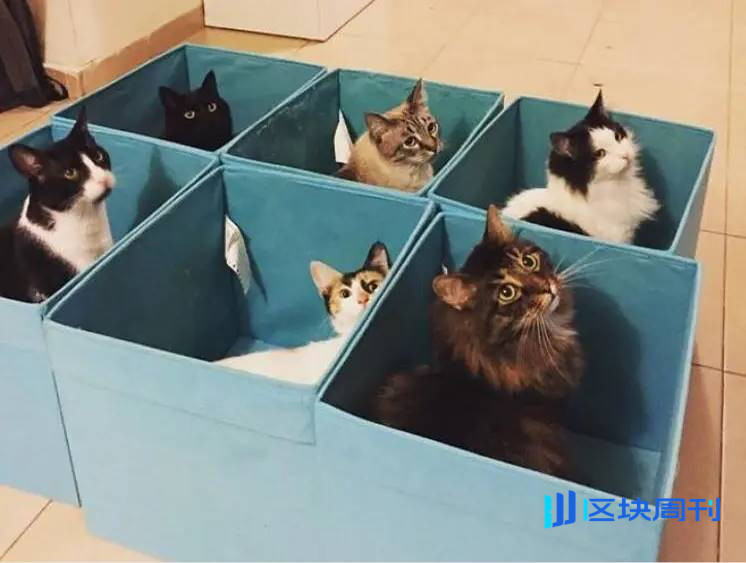 Kiwi 联创：关于构建消费者加密应用的那些事