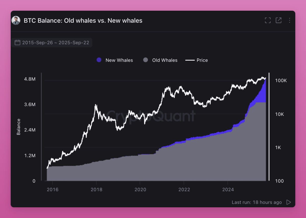 告别野蛮生长：四年周期真会重演？加密货币的新秩序来了