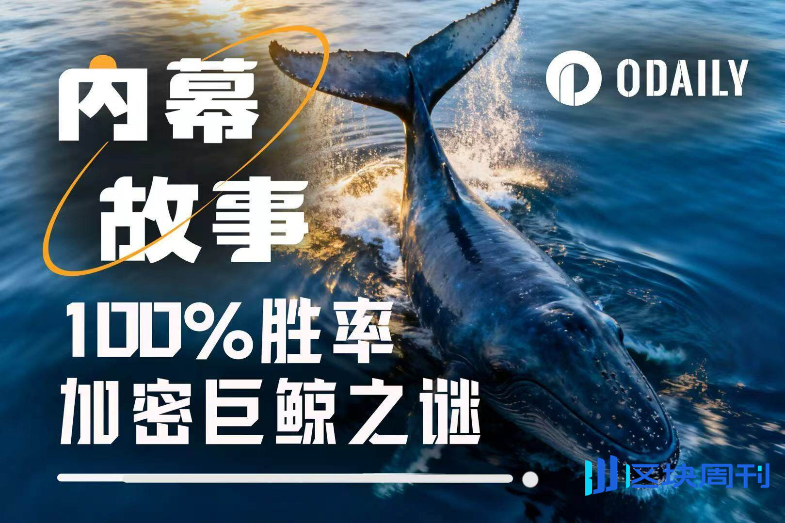 100%胜率巨鲸是如何炼成的？揭秘“特朗普派内幕人士”真实身份