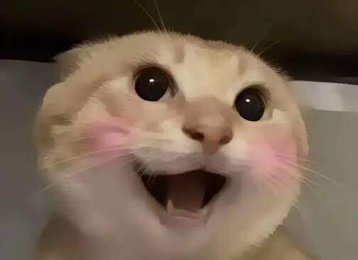 中文Meme各显神通，谁将率先登陆币安主站？
