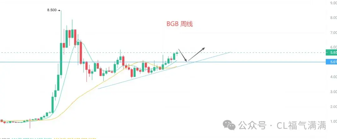 喵姐说币12：币圈分水岭？BSC系赚麻、OK系哭麻，下轮主升浪的种子是谁？