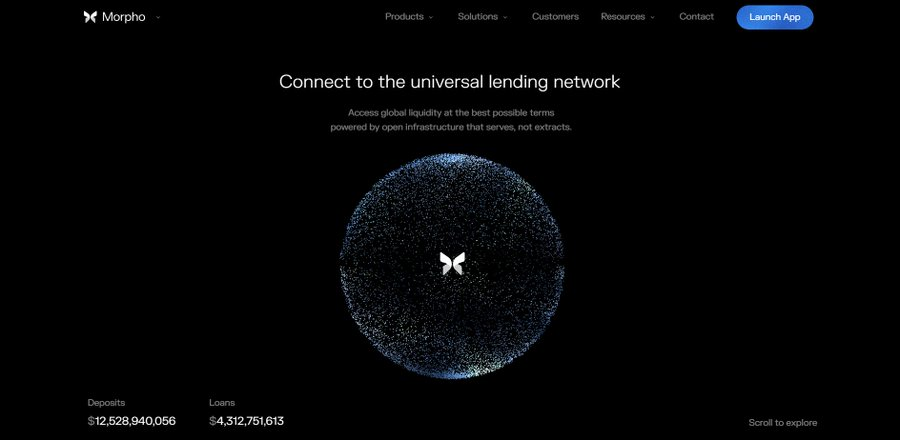 Morpho 吸金 120 亿之谜：这些大户到底在玩什么？