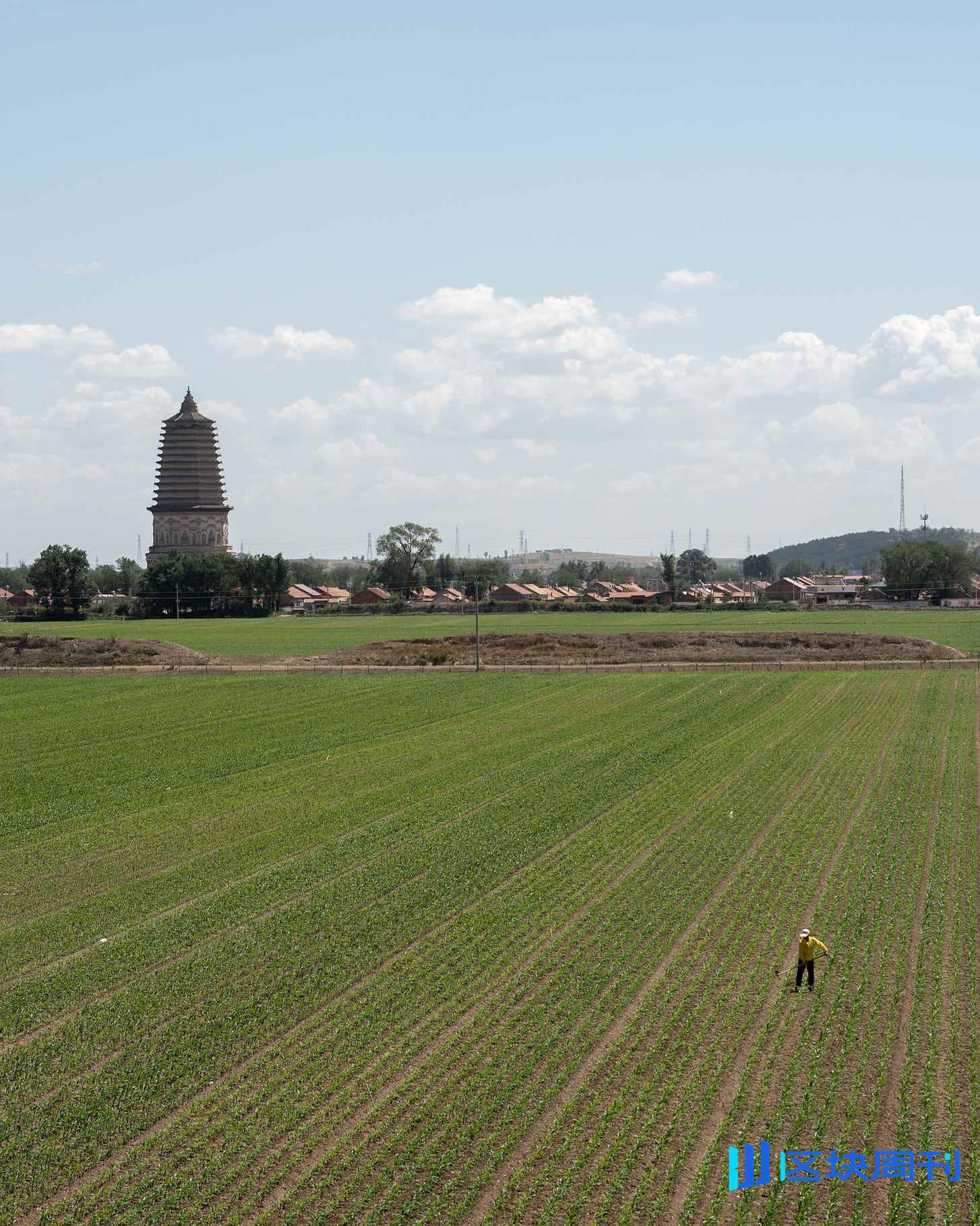 Funes 是如何获得 YZi Labs 投资的？
