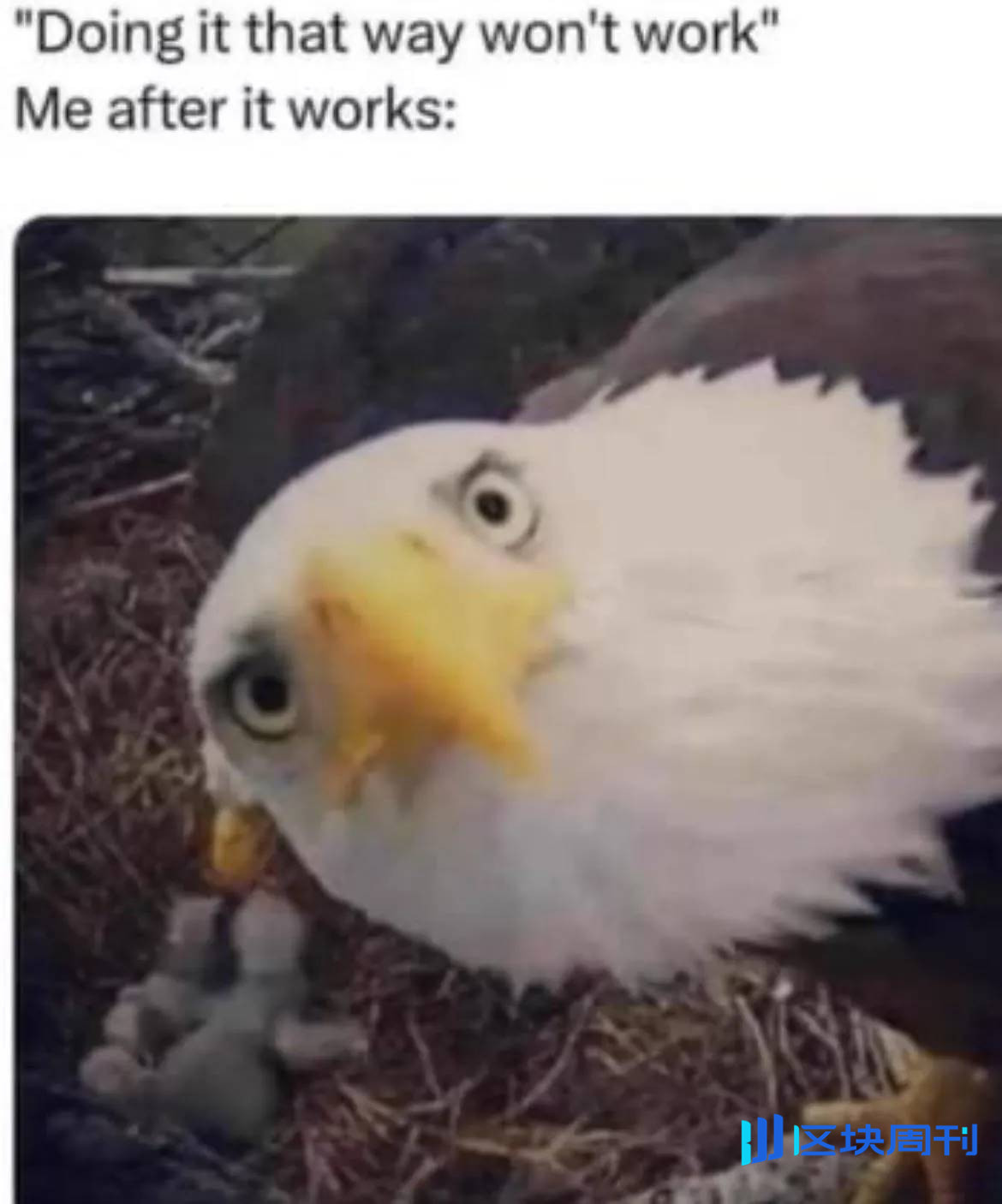 删除推特后，我终于学会了不乱买乱卖