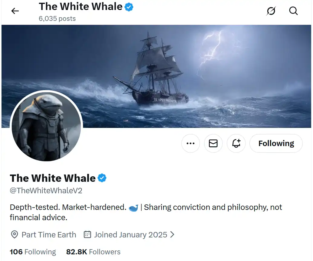 White Whale：一个“必死”Meme币，如何在30天完成500倍逆袭？ -区块周刊BlockWeeks