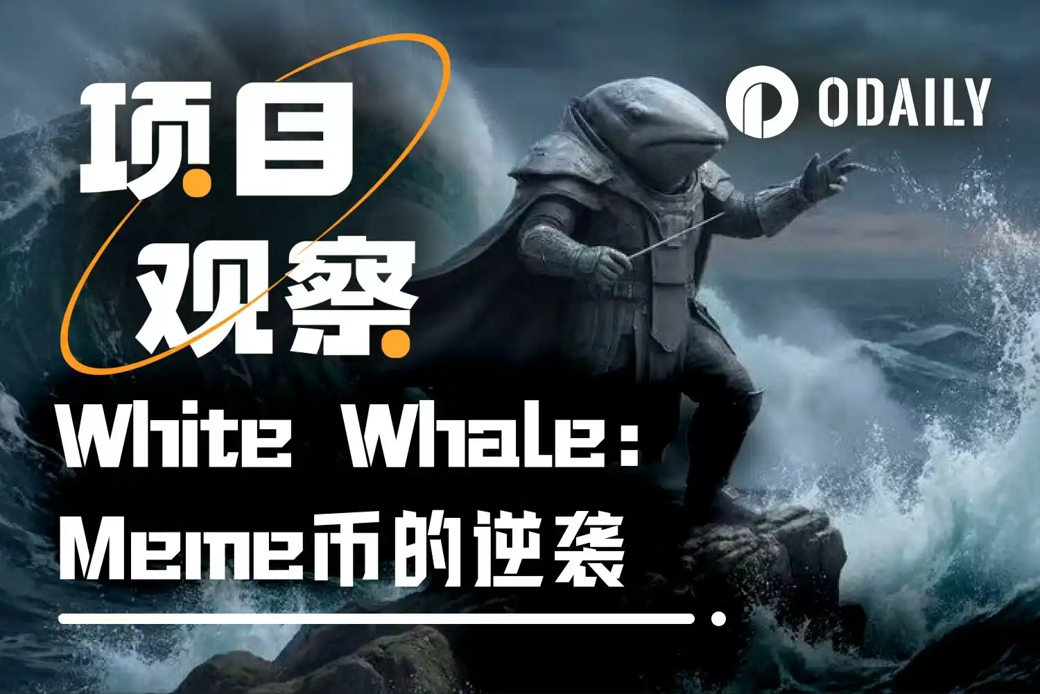 White Whale：一个“必死”Meme币，如何在30天完成500倍逆袭？ -区块周刊BlockWeeks