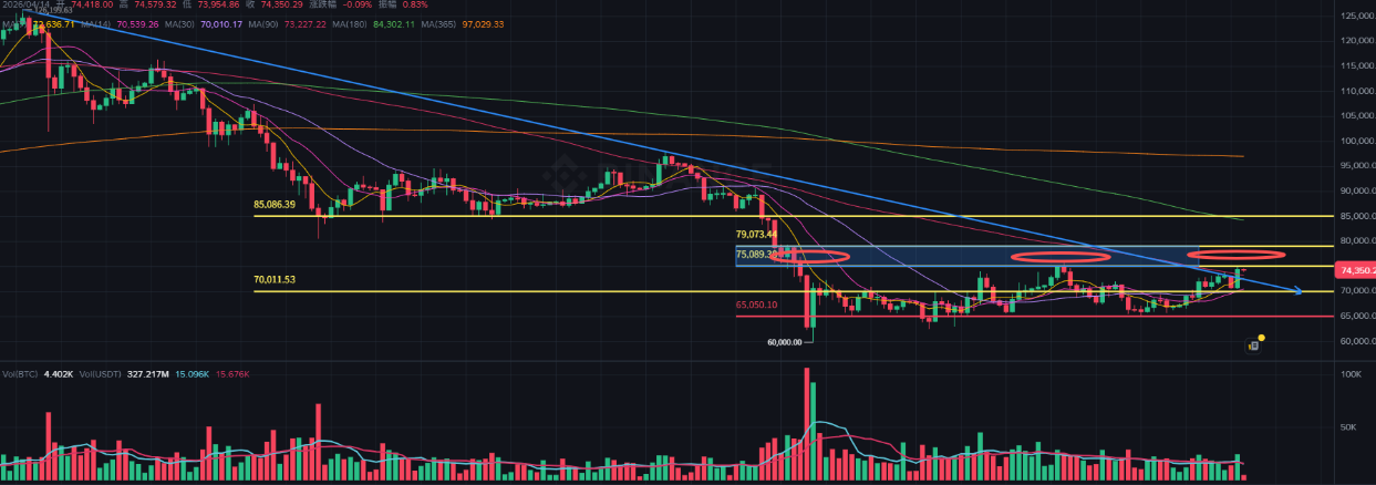 美伊谈判引爆行情！BTC冲破7.4万，空头爆仓，黄金+加密齐飞！RAVE、WLD异动暗藏机会？