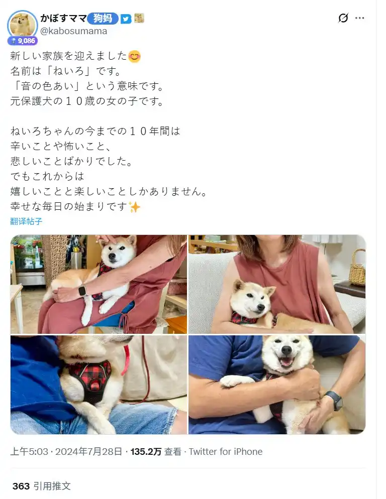 ASTEROID分流争议正在上演，先把Neiro这段历史翻出来看看