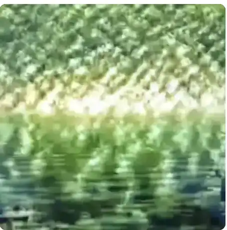 a16z AI方向合伙人的八年创业笔记