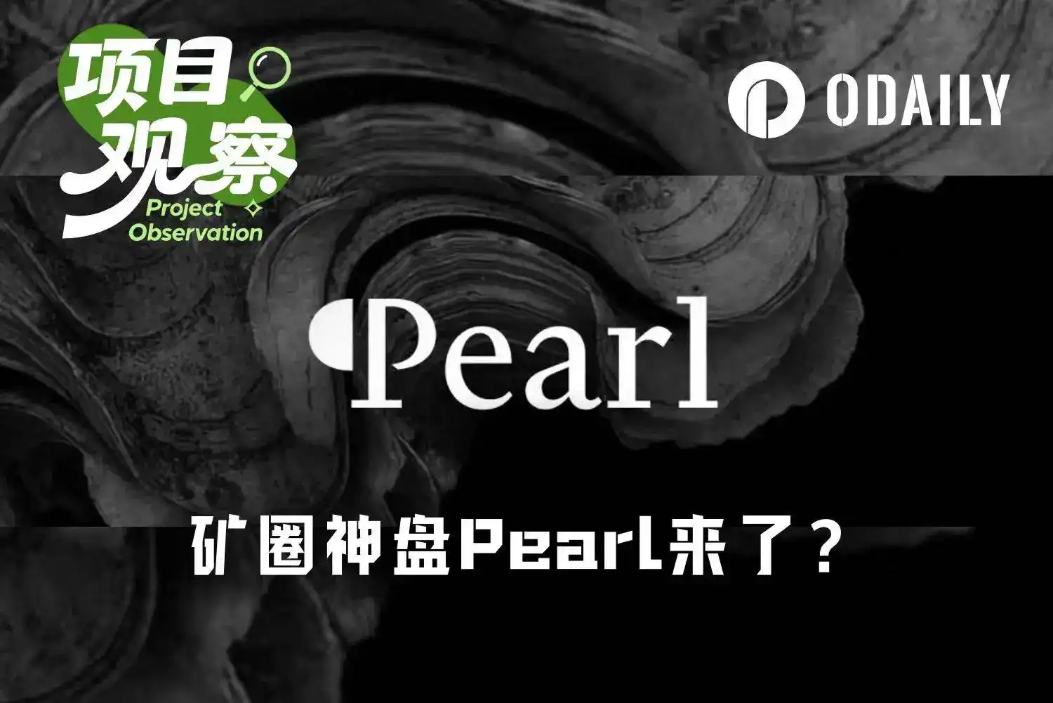 PoW神矿？a16z 150万美元扫货，Pearl让矿圈再度沸腾（附挖矿实操）
