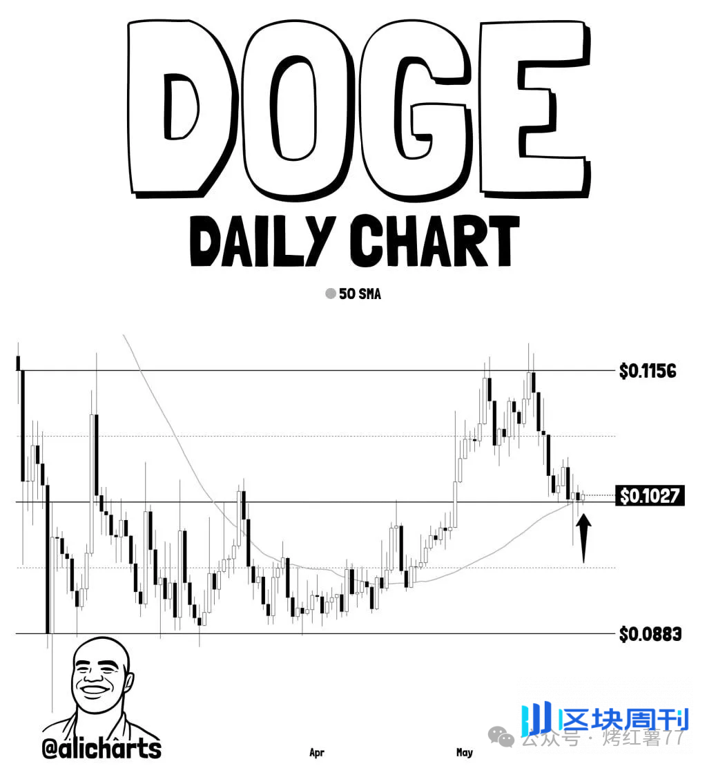 狗狗币跌至关键支撑位!0.1020美元能否撑住?分析师:DOGE或迎来反弹行情!