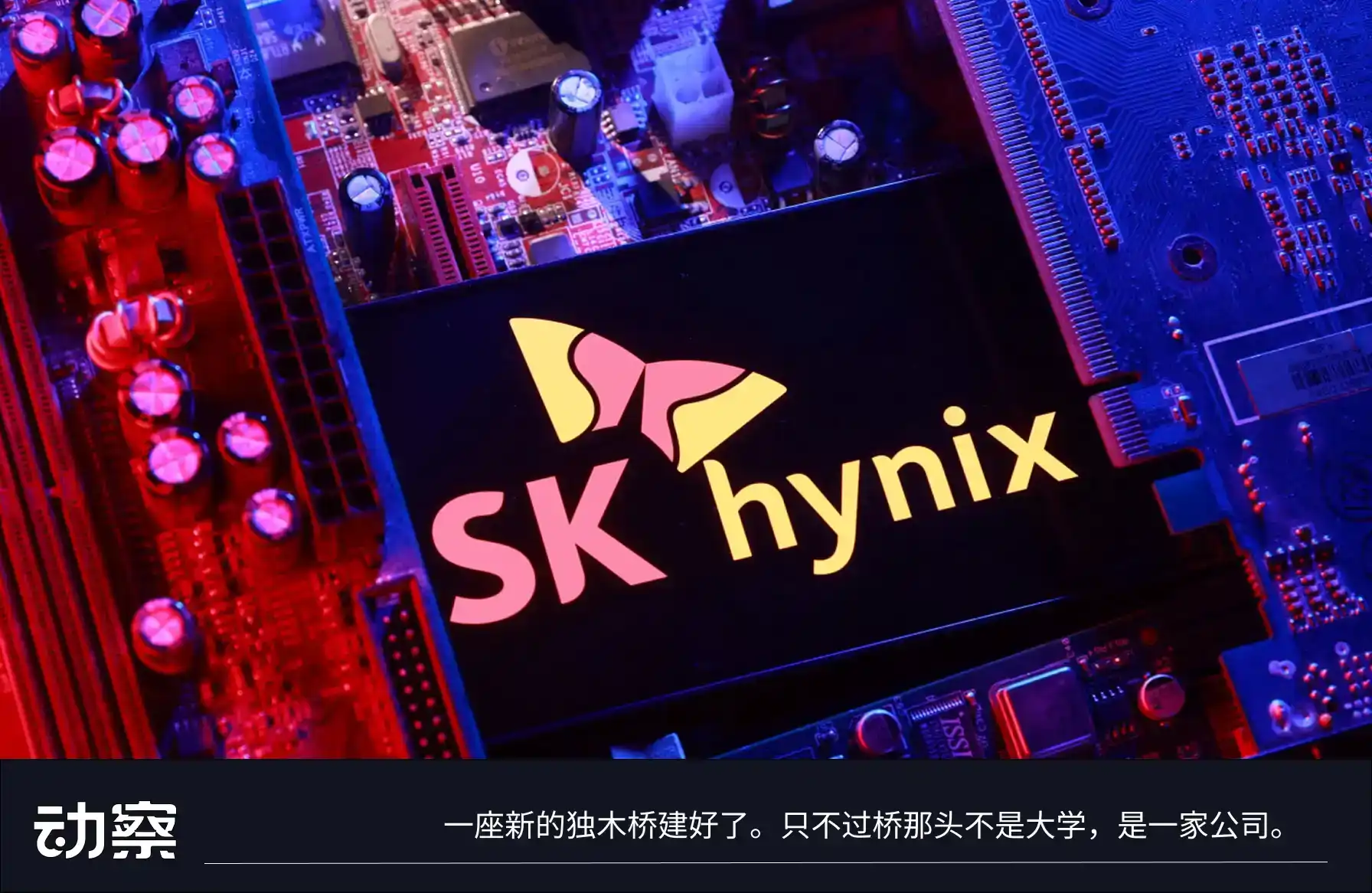 海力士取消学历要求，韩国年轻人挤向新的独木桥